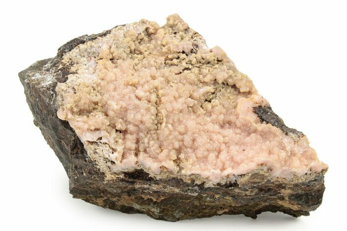 Sparkling Botryoidal Rhodochrosite - Santa Eulalia, Mexico #240819